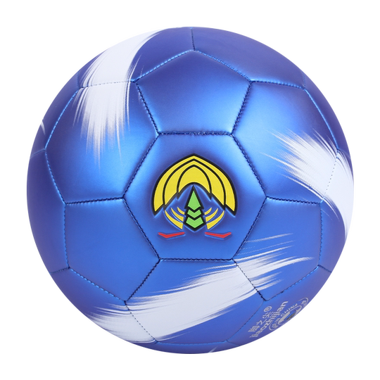 免费印字磨砂PU黑白4号小学生训练足球3号幼儿园蓝色5号成人