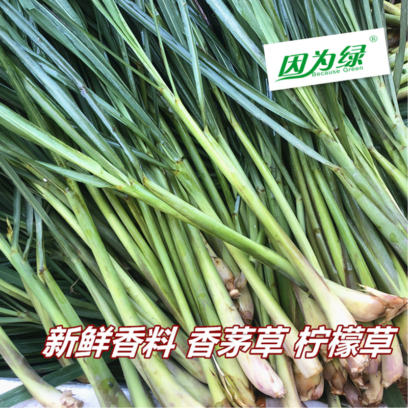 香茅草 新鲜柠檬草 香毛草香料 Lemon Grass 江浙沪皖5件包邮 - 图1