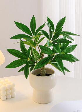 2026仿真绿植摆件小型客厅室内茶几盆栽电视柜桌面仿生植物假花高