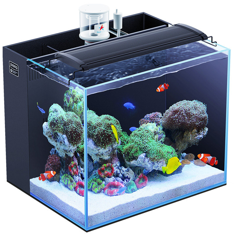 方小章超白玻璃鱼缸背滤海水缸全套新手小型桌面客厅珊瑚缸检疫缸