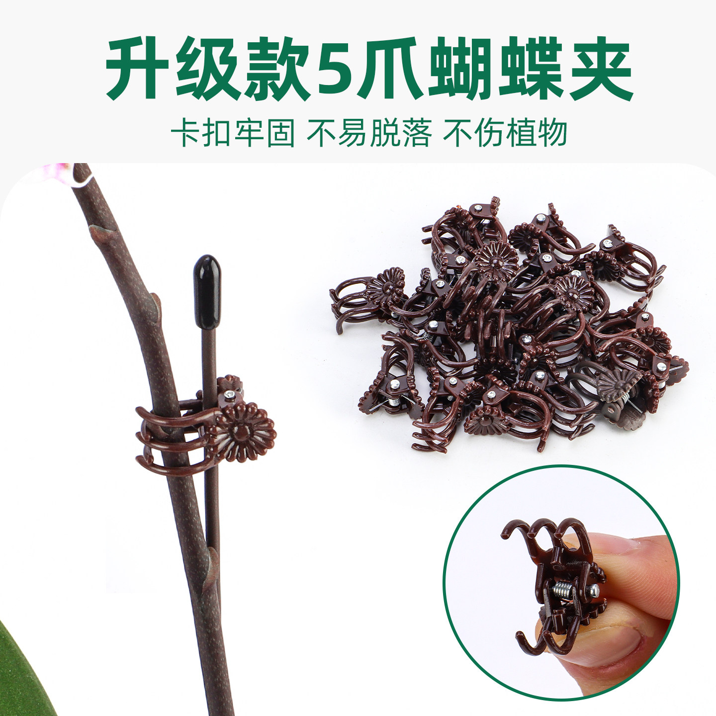 蝴蝶兰支架支撑杆爬藤蔓藤花架花卉植物夹花定型夹子花卉固定专用,淘宝优惠券,粉丝福利购,淘宝优惠卷