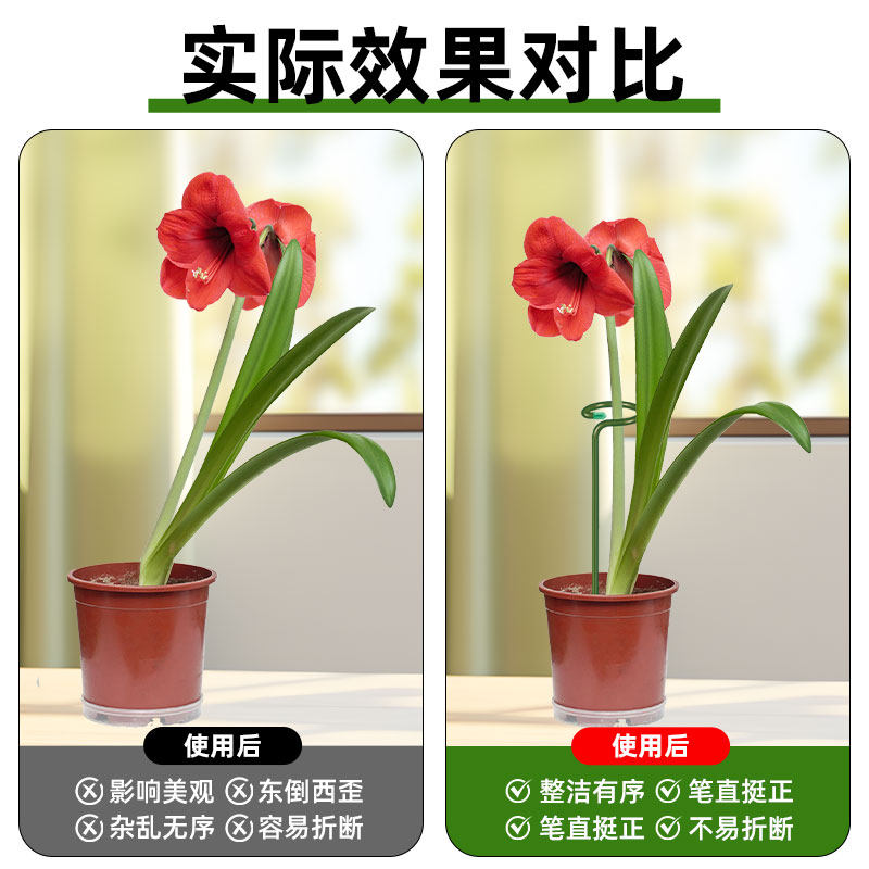 龟背竹支撑杆植物爬藤架花架花卉固定器防倒防倒伏花支撑固定支架,淘宝优惠券,粉丝福利购,淘宝优惠卷