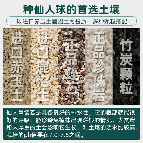 仙人球专用营养颗粒土种植仙人掌盆栽土壤仙人柱土进口赤玉土植料 - 图1