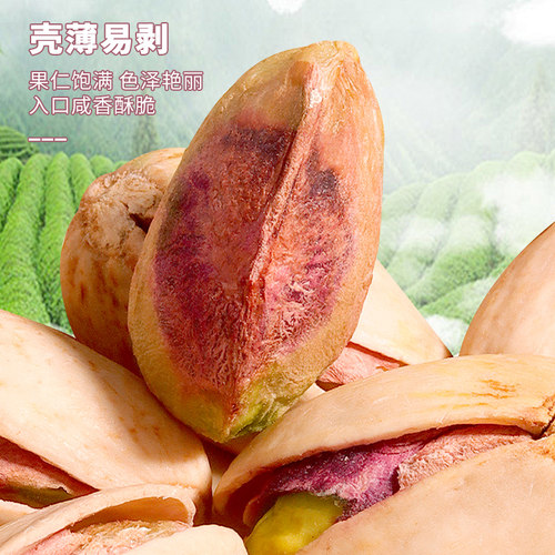 新货开心果500g盐焗原味原色特大颗粒坚果干果无漂白添加孕妇零食 - 图2