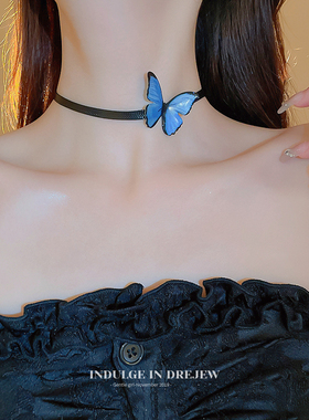 宝蓝色蝴蝶项链锁骨链轻奢高级感choker脖子配饰项圈女颈带颈链