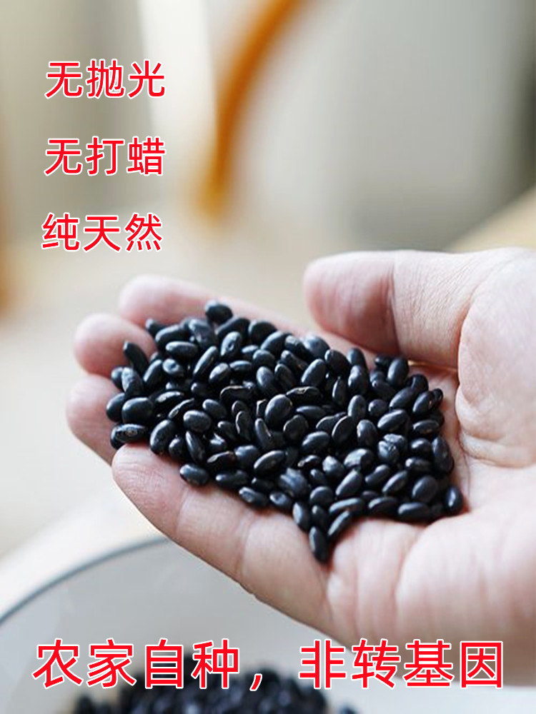 肾形黑豆 小粒农家自种老品种非转基因黄芯黑小豆打豆浆发豆芽5斤 - 图0