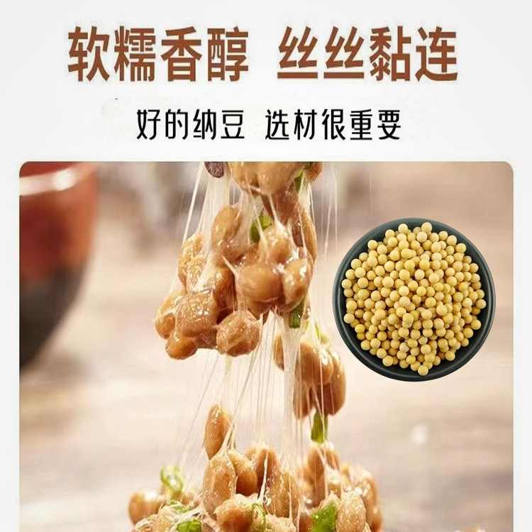 东北极小粒珍珠粒金黄豆690纳豆专用豆浆豆腐发豆芽非转基因芽豆 - 图2