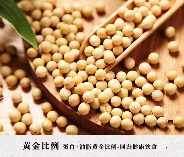 黄豆非转基因农家5斤自产打豆浆 尉掌柜黄豆