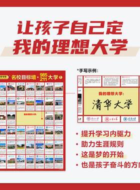 中国大学名校图册985211国内重点贴墙名校目标墙挂图名校目标墙