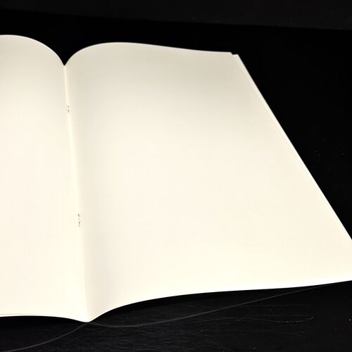 2026新版凤凰传媒作业本小学加厚图画本3-6年级学校同款三四五六 - 图1