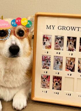 狗狗生日相框照片纪念证件照摆台猫咪小宠物相片留念成长记录框厂