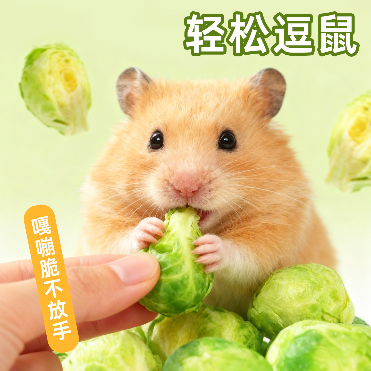 牛宠仓鼠零食辅食蔬菜冻干花枝鼠宠物零食蔬菜干沙拉冻干孢子甘蓝,淘宝优惠券,粉丝福利购,淘宝优惠卷