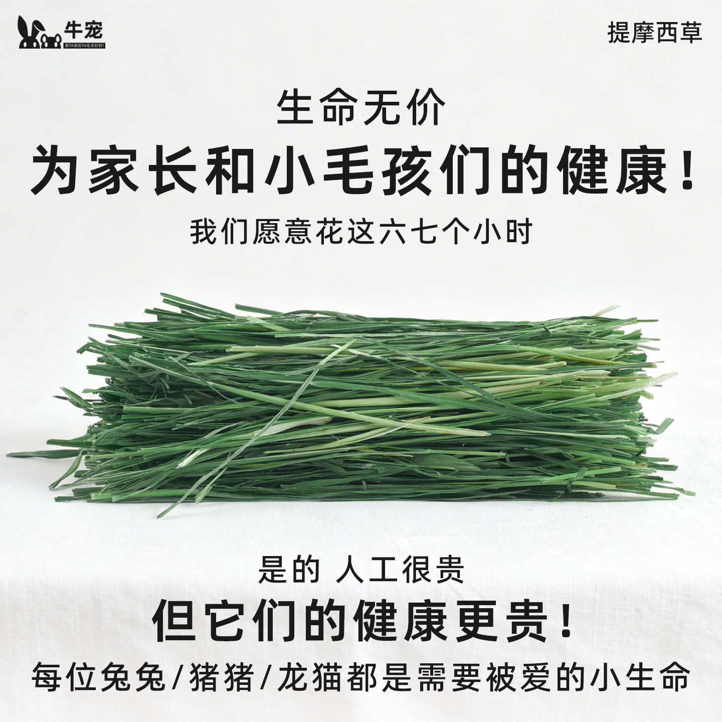 提摩西草烘干草牛宠提草兔子粮食荷兰猪草料进口加提美提北提兔草