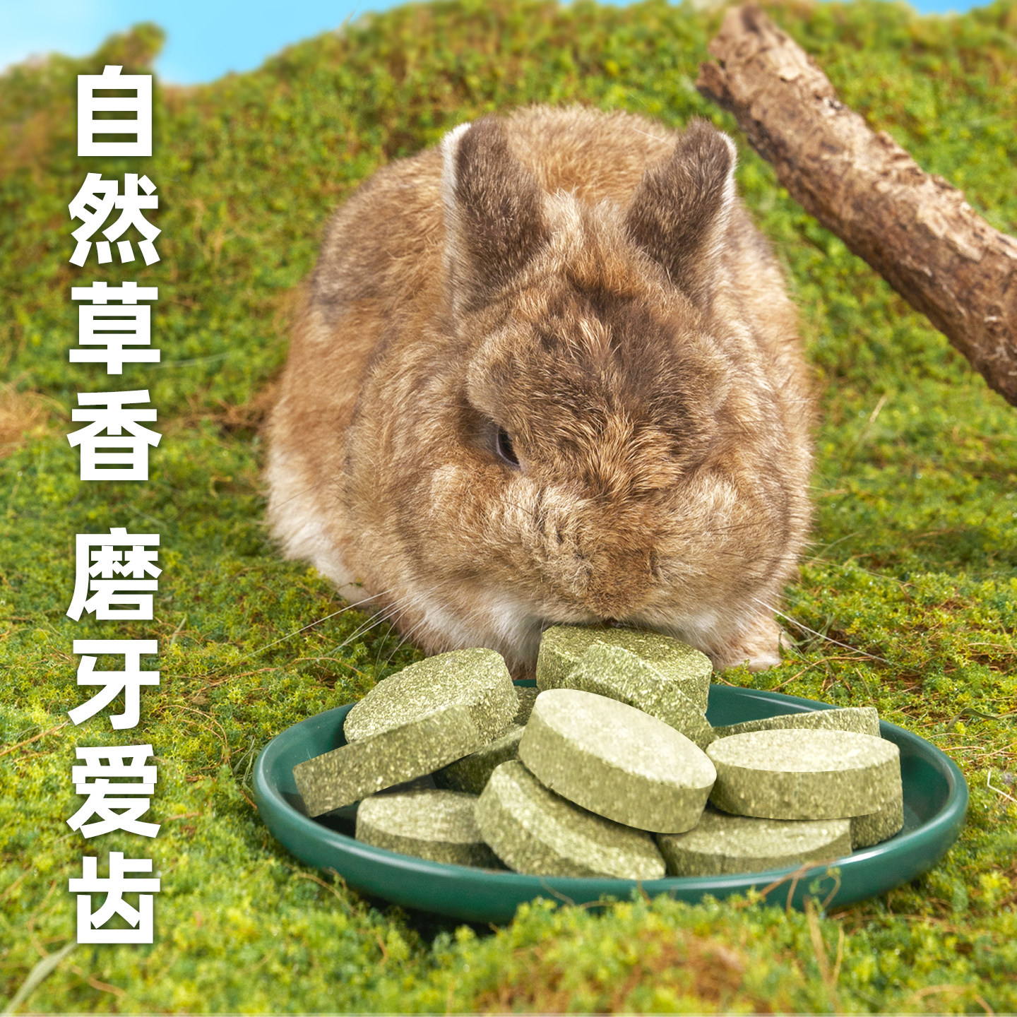 牛宠兔子磨牙草饼提摩西草苜蓿荷兰猪仓鼠低温烘焙磨牙棒兔兔零食,淘宝优惠券,粉丝福利购,淘宝优惠卷
