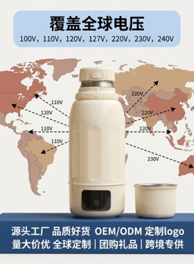 110v220v车家两用316数显恒温旅行智能旅行便携电热水杯车载烧水