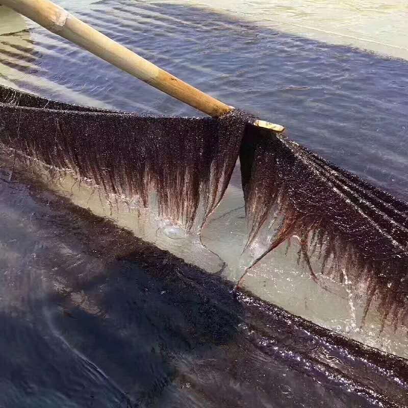 福建头水紫菜礼袋装500g干货免洗海产特产无沙特级霞浦海菜蛋花汤-图1