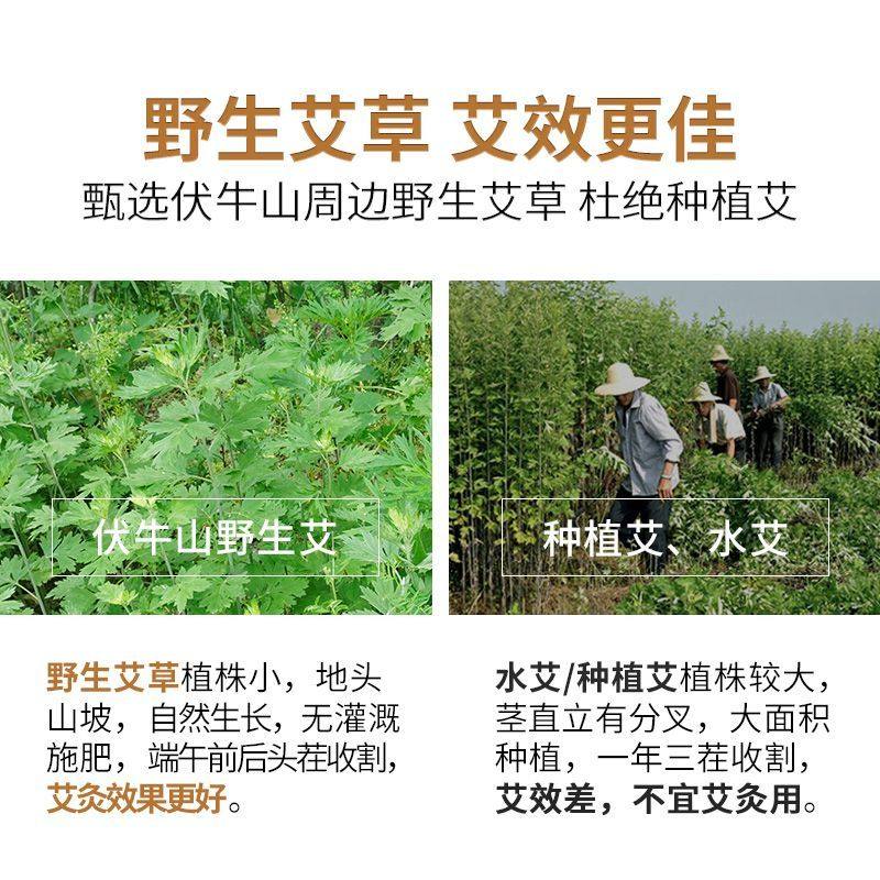 蕲郎中艾条艾柱五年陈纯艾草艾叶艾绒艾炙棒家用熏盒长艾灸条无烟,淘宝优惠券,粉丝福利购,淘宝优惠卷