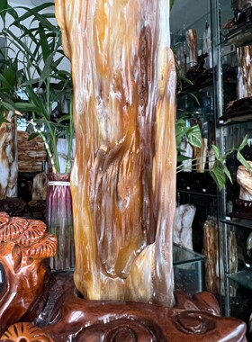 树化玉硅化木摆件冰种木化石400135客厅木化玉缅甸树化石客厅奇石