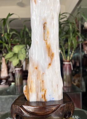 树化玉硅化木摆件冰种木化石400121客厅木化玉缅甸树化石客厅奇石