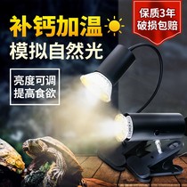 Turtle Sun Back Light Uvb Full Spectrum Uva Solar Lamp Pet Tortoise Bulb Tonic calcium Heating Insulation Three-in-one