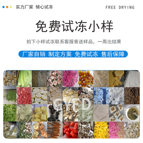 冻干机家用小型果蔬药品实验室宠物食品冻干机商用真空冷冻干燥机 - 图2