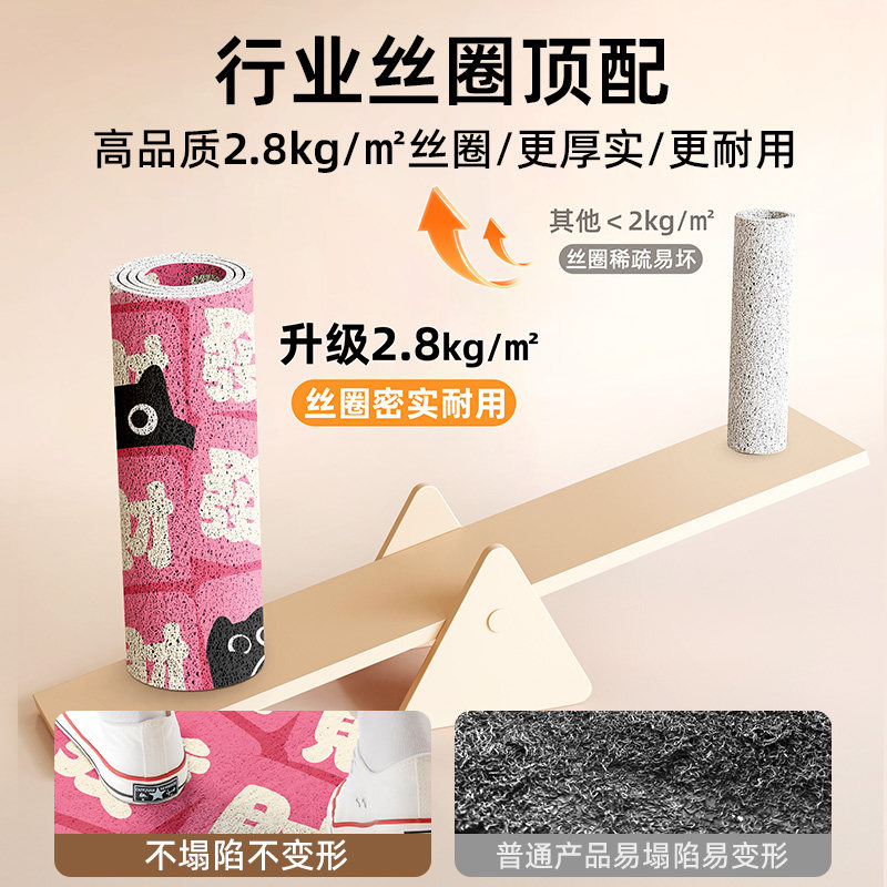 发财入户门地垫进门蹭土耐脏免打理脚垫丝圈门口除尘耐磨防滑地毯,淘宝优惠券,粉丝福利购,淘宝优惠卷