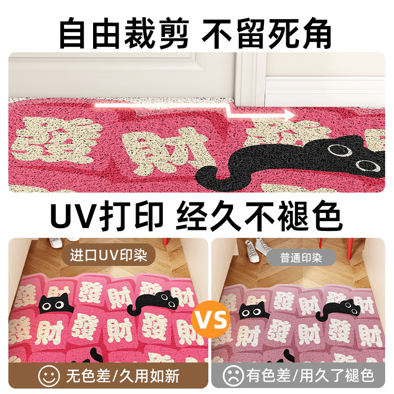 发财入户门地垫进门蹭土耐脏免打理脚垫丝圈门口除尘耐磨防滑地毯,淘宝优惠券,粉丝福利购,淘宝优惠卷