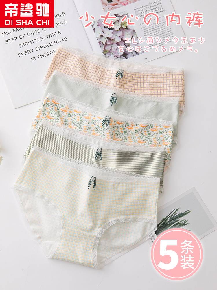 女士纯棉全棉裆抗菌无痕女生内裤 帝鲨驰内裤