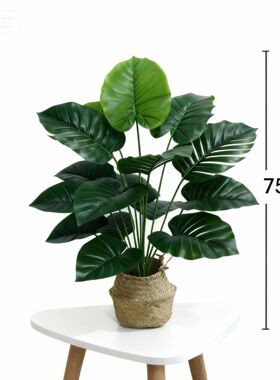 跨境绿植滴水观音植物过胶叶婚庆家居装饰假盆景摆件亚马逊仿真花