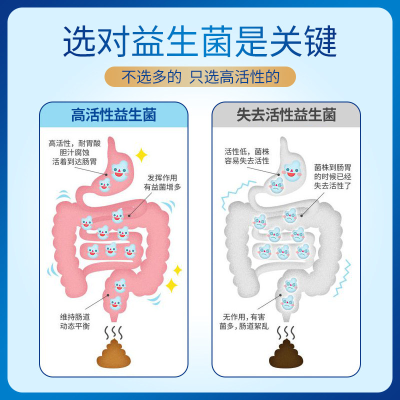 酵祖益生菌大人儿童调理成人益生元 酵祖益生菌