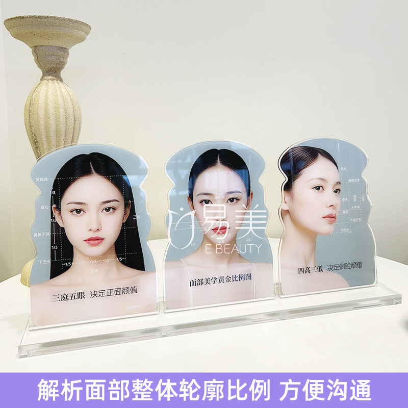 面部美学标准比例图亚克力摆件医美会诊桌面教具美容知识讲解科普