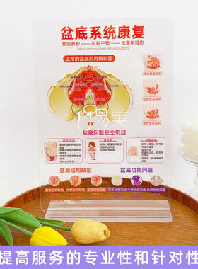 盆底系统康复亚克力展示牌月子中心场景摆件医患沟通客户科普教育