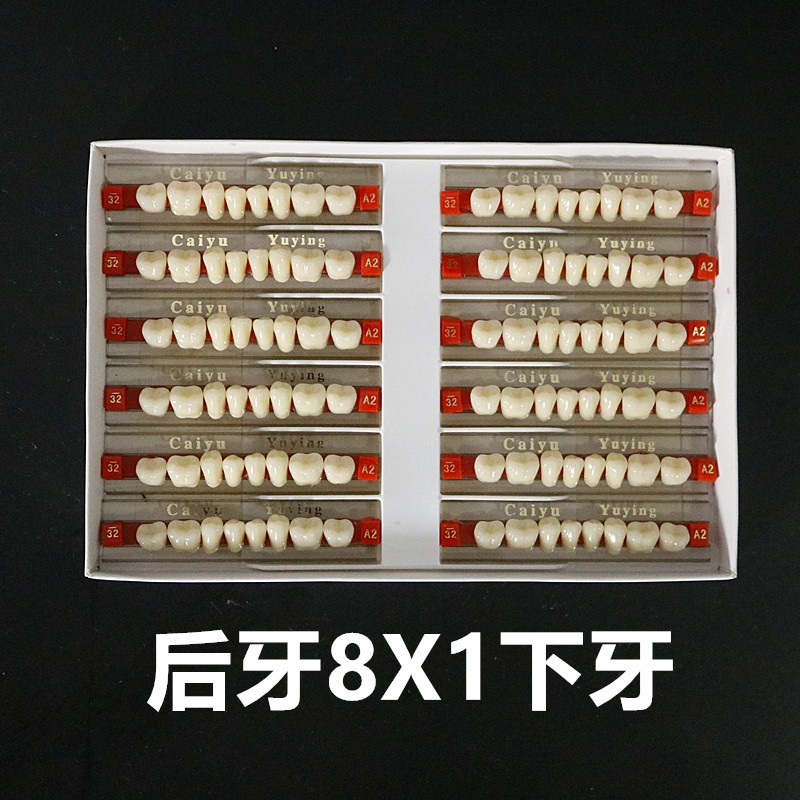 牙科材料 采玉合成树脂牙 上门牙6X1 前牙玉鹰全口义齿 后牙8x1 - 图3