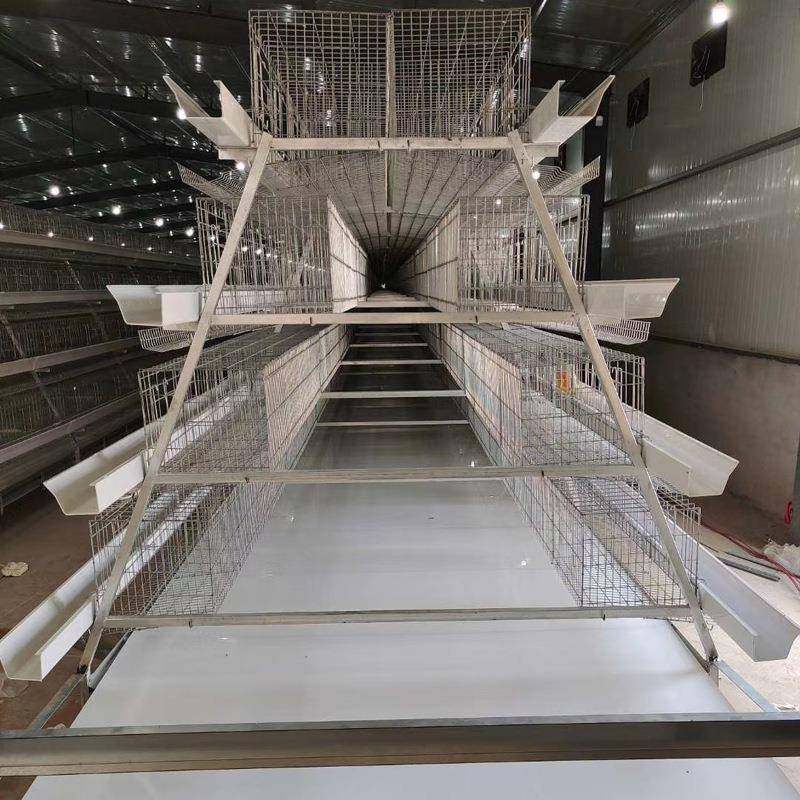 蛋鸡笼多层阶梯全自动清粪捡蛋喂料厂家热镀锌阶梯全自动蛋鸡笼,淘宝优惠券,粉丝福利购,淘宝优惠卷