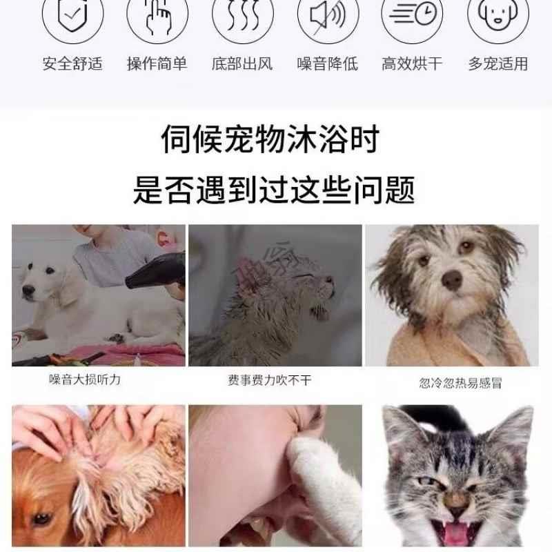 新品宠有家全智能宠物烘干机全自动狗狗猫咪中型烘干箱商用洗澡吹-图0