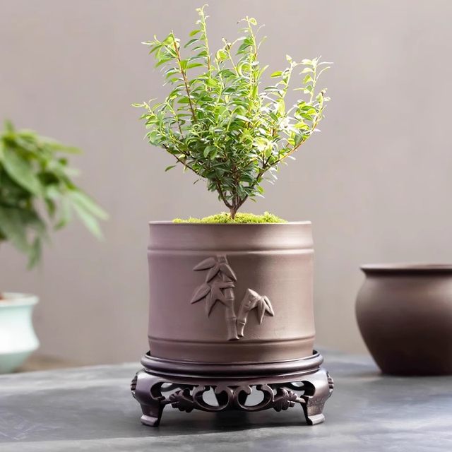 Purple Clay Flower Pot Household Succulent Flower Pot Wen Bamboo Basin Clearing