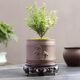 Purple Clay Flower Pot Household Succulent Flower Pot Wen Bamboo Basin Clearing