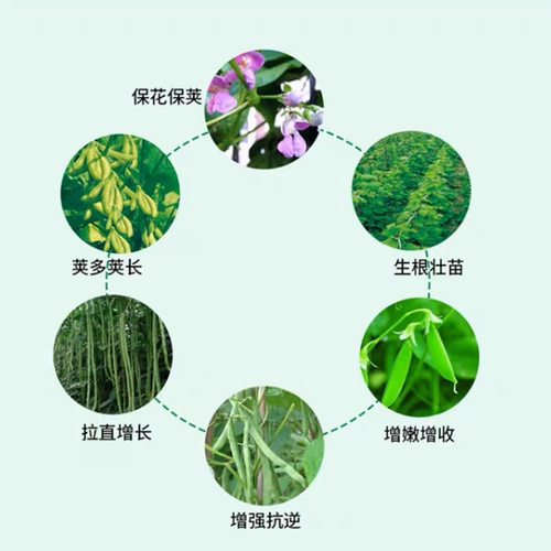 Аммониея молибденам аммония молибденам удобрения, сельскохозяйственные удобрения, удобрения поверхности листьев, удобрения, семи молибдена аммония молибден Аммоний -молибден Аммоний -молибден Аммониевый увлажняет.