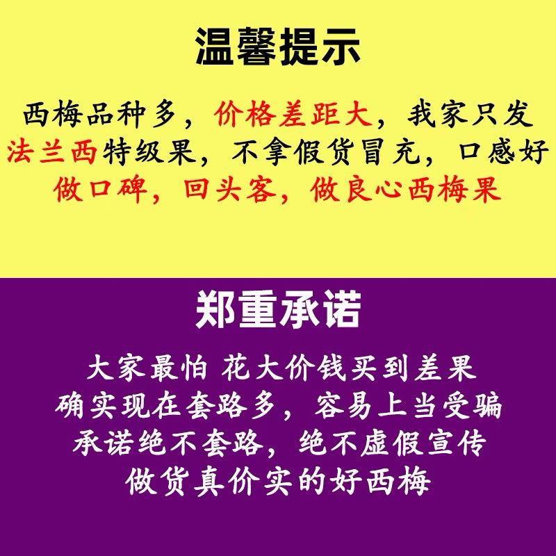 新疆法兰西西梅新鲜水果喀什伽师特产孕妇李子当季宝宝辅食整箱甜 - 图0