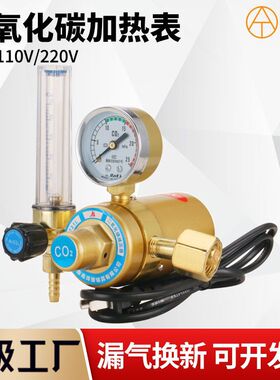 YQT-731L全铜二氧化碳减压器混合气减压阀36V/110/220V/co2加热表