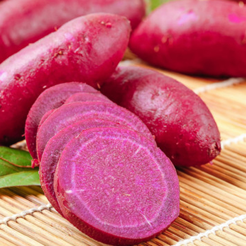 新鲜10斤沙地农家自种紫心板栗红薯 功夫侠番薯