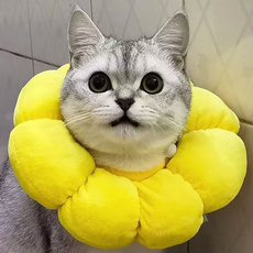 ПЭТ Элизабет 伊丽莎白圈太阳花猫绝育猫咪狗狗防舔咬软项圈可调节颈脖圈羞耻圈