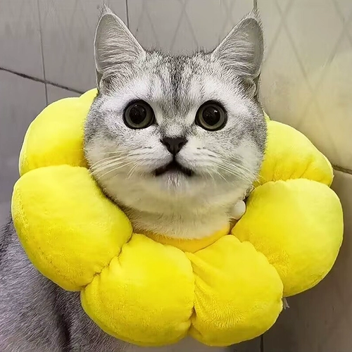 Регулируемый чокер на солнечной энергии, плавательный круг для шеи, подсолнух, кот, можно грызть