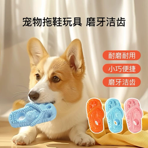 Собачья игрушка, тапочки укуса, щенки Тедди Корки, моляр и зубы, щенки для домашних животных, артефакт самообслуживания