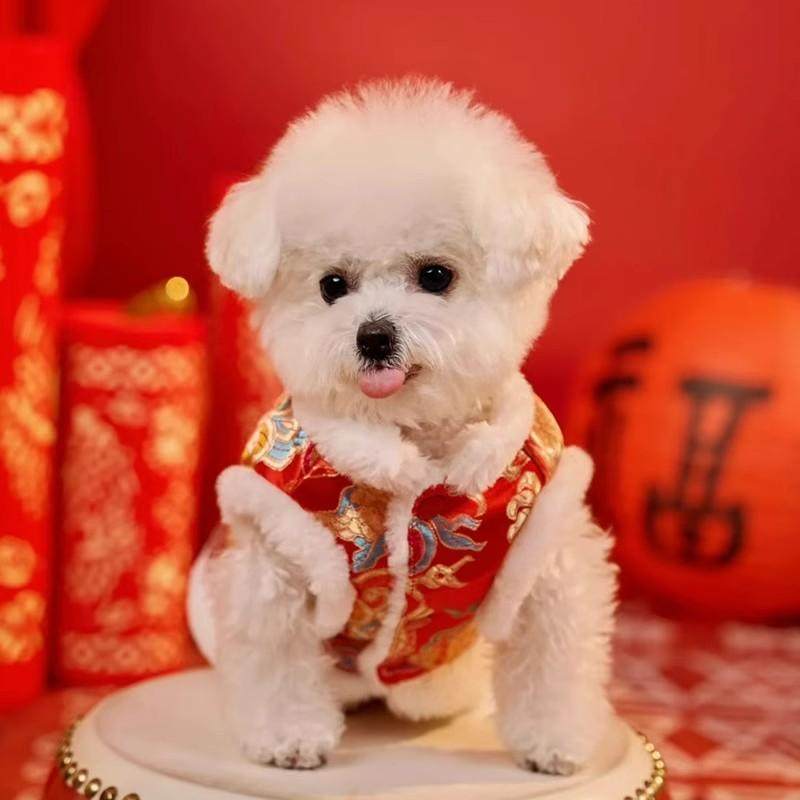 狗狗衣服冬季保暖新年喜庆唐装泰迪比熊博美小型幼犬猫咪拜年服装,淘宝优惠券,粉丝福利购,淘宝优惠卷