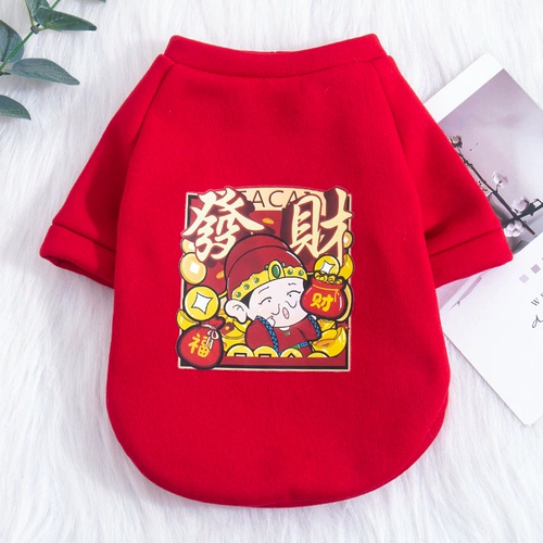 Кошачья одежда зима теплый котенок львиный официант