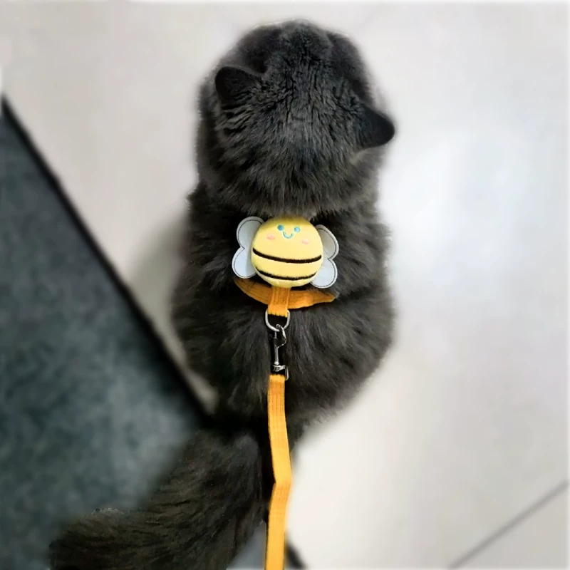 Кошачья тяговая верёвка для котят, специальная защита от выхода из клетки, регулируемая скользящая кошачья верёвка