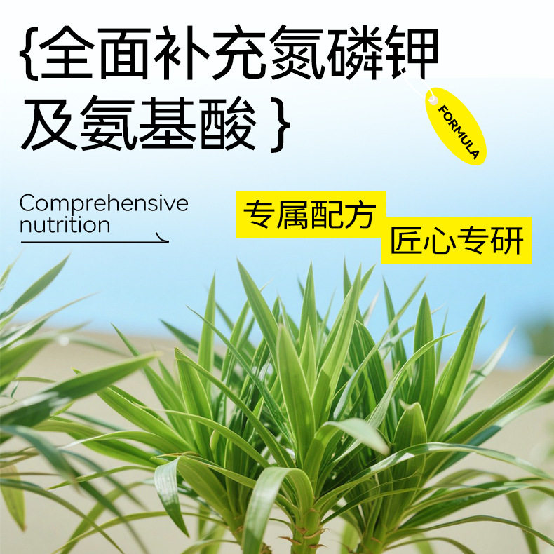 语悦花间龙血树营养液客厅大盆栽大型绿植花盆大号树苗花肥好养活,淘宝优惠券,粉丝福利购,淘宝优惠卷