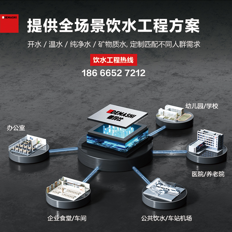 德玛仕直饮水机商用饮水机工厂车间学校医院一开一温SRZ-2L-L12 - 图0