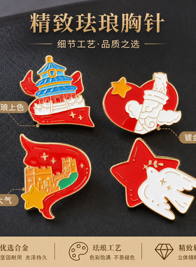 新品爱国主题徽章胸针金属别针红色配饰党建活动礼物现货配饰